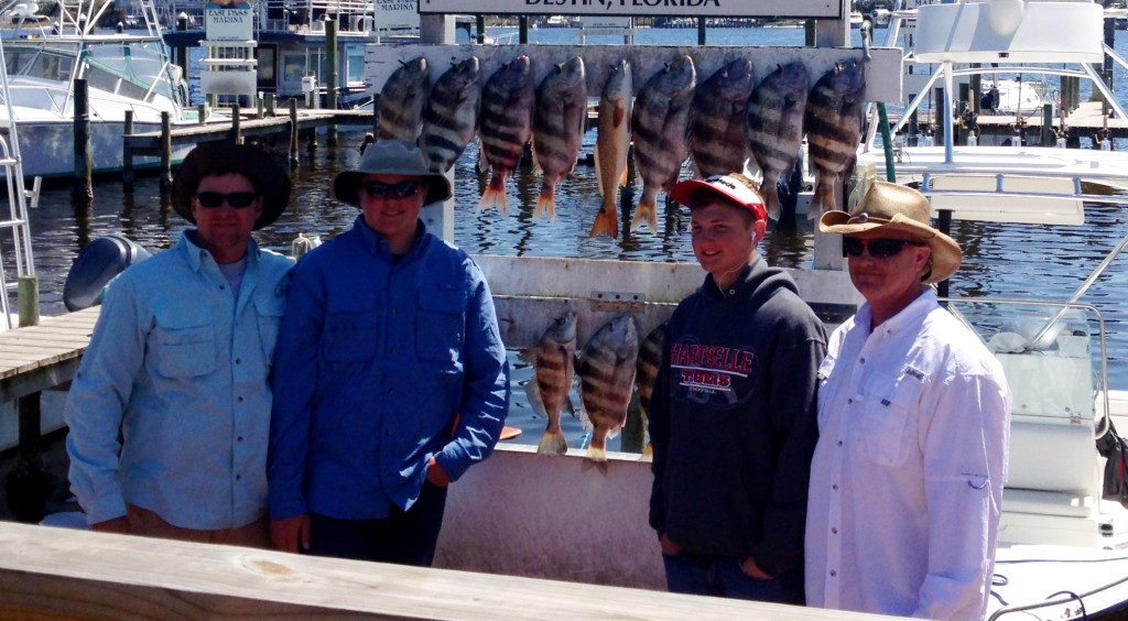 sheepshead redfish destin fishing report 