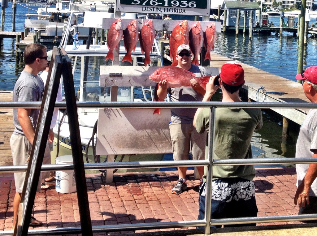 red snapper fishing report