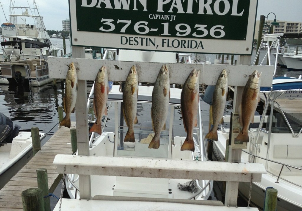 destin bay fishing report