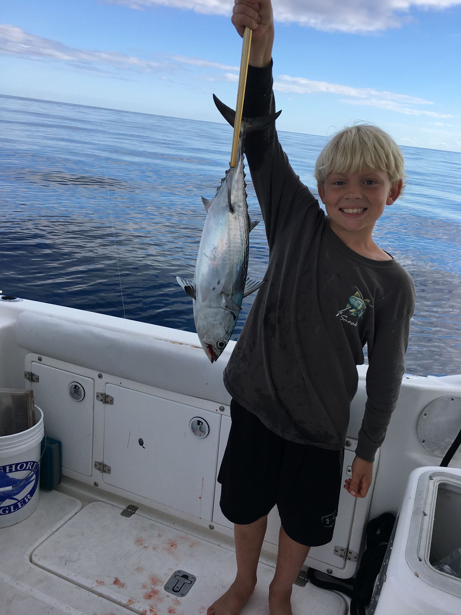 destin florida fishing report nov 2016